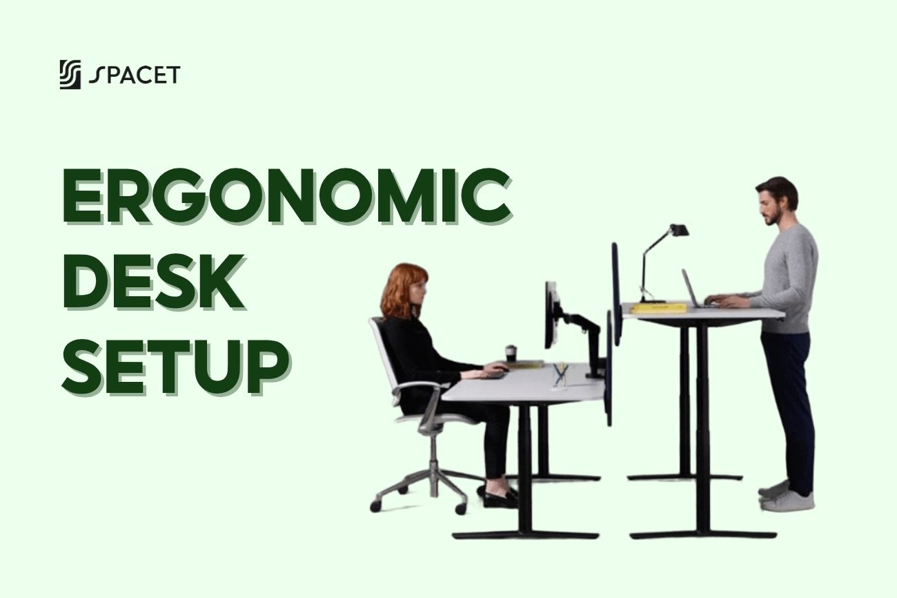 Ergonomic Desk Setup